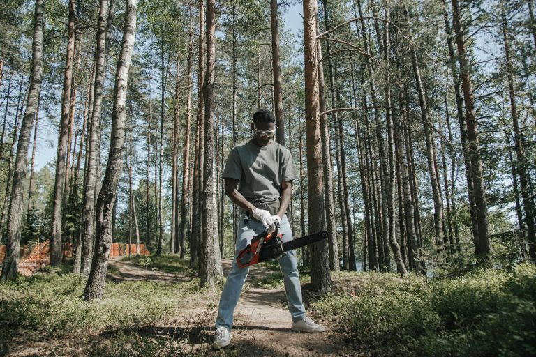 tree felling 768x512